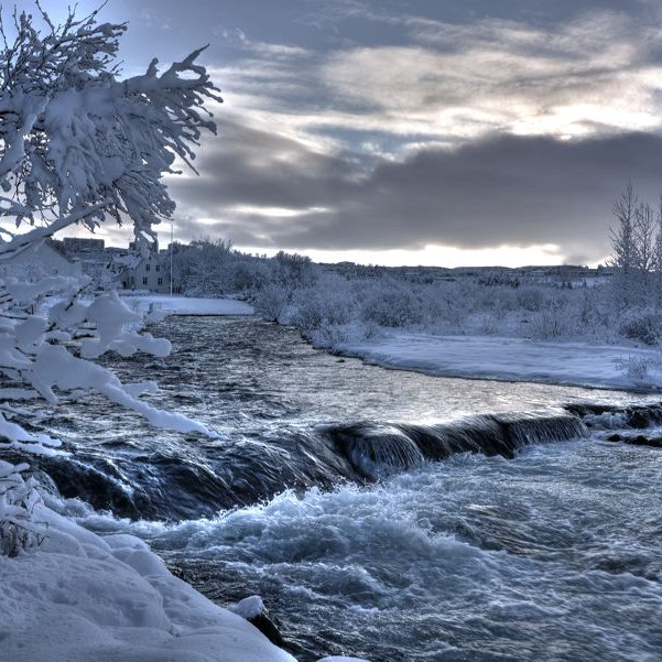 Allir taki þátt í umhverfishlutanum frá 2019