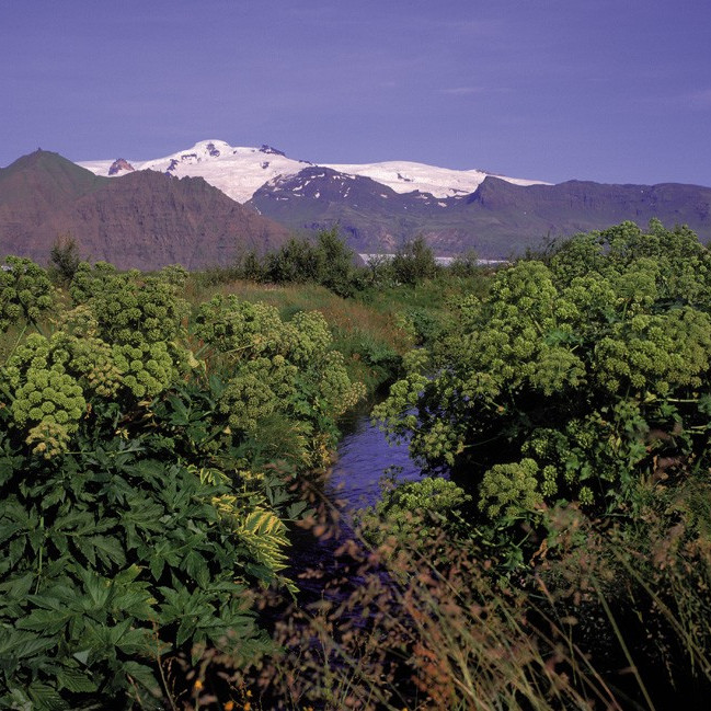 Kynning VAKANS fyrir ráðgjafa