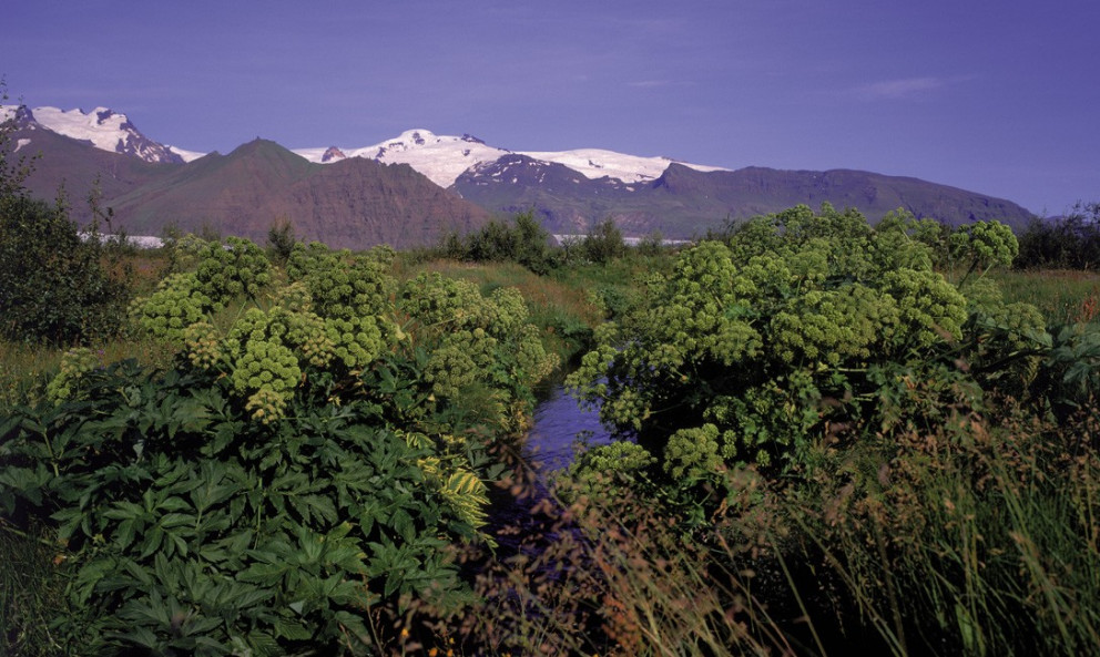 Kynning VAKANS fyrir ráðgjafa