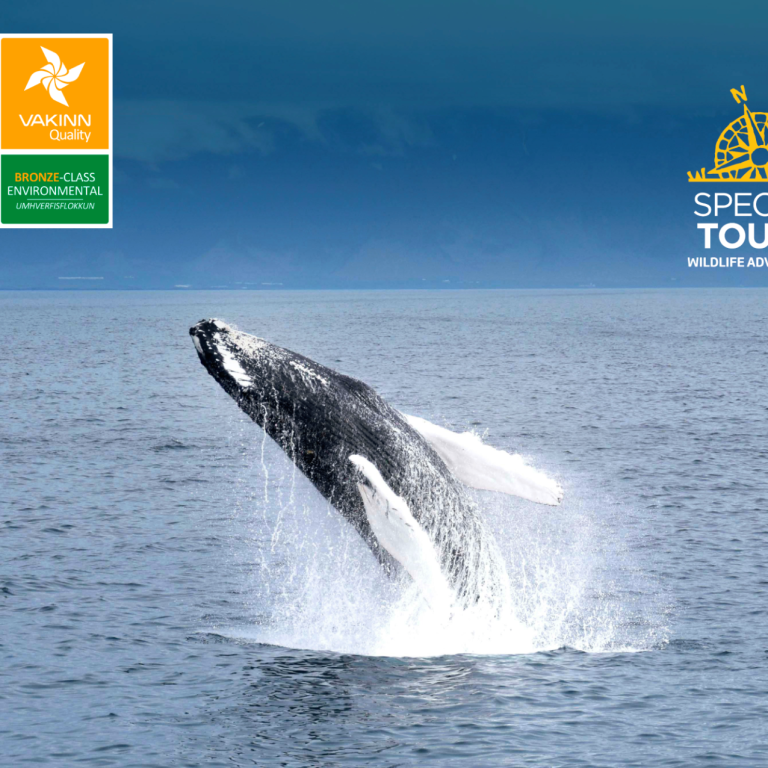 Special Tours endurnýjar Vaka vottun