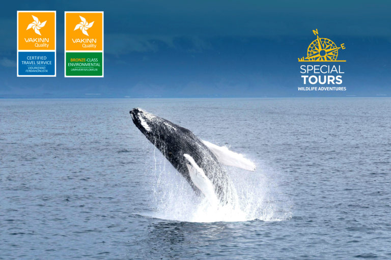 Special Tours endurnýjar Vaka vottun